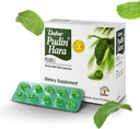 Dabur Pudin Hara Pearls - Daily Digestive Suplimente de îngrijire pentru bărbați și femei, ajută Abate Simptomele de balonare, aciditate, Flatulență și indigestie pentru Digestive și Sănătate Gut, 400 conta (Pachet de 40)