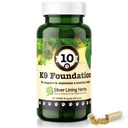 Argint Lining Herbs Global Dog Health Suplimente 10 K9 Fundaţia - Suplimente canine naturale pentru câini Ficat, Rinichi, Digestion, Vitality & Sistem imunitar Suport pentru câini - 90 capsule