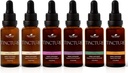 Terapia plantelor Tinctura organica Incepator Set 30 ml Fiecare de organic Ashwagandha, Asian Ginseng, Echinacea Blend, Elderberry, Lemon Balm & Turmeric