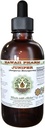 Extract lichid fără alcool Juniper, Juniper organic (Juniperus Monosperma) uscat Berry Glycerite Hawaii Pharm naturale Herbal Supliment 4 oz