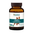 Himalaya Organic Scorțișoară, 30 de zile de aprovizionare - Herbal Glucoză Metabolizare Suport - USDA Organic, Non-GMO, Vegan, Gluten gratuit, 1100 mg, 60 comprimate