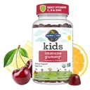 Gradina de viata Copiii de sprijin imun Gummies cu vitamina C, D ca D3 & Zinc pentru 3-in-1 Daily Children Imunitate 
