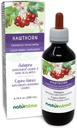 Naturalma Hawthorn (Crataegus oxiacantha) Frunză și flori Tinctură fără alcool - 6,76 fl oz Extract lichid în picături - Supliment vegetal - Vegan