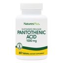NaturesPlus Acid pantotenic, eliberare susţinută - 1000 mg, 60 comprimate - supliment vitamina B5 de înaltă calitate - vegetarian, gluten gratuit - 60 Serviri
