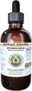 Butcher's Broom Alcool-Liquid extract, Organic Butcher's Broom (Ruscus aculeatus) Uscate Root Glicerite Hawaii Pharm Natural Herbal Supplement 4 oz