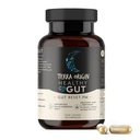 TERRA ORIGINA sanatoasa Gut Reset PM 
