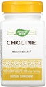 NATURE MOD 500Mg 100 Tb Choline, 100 CT