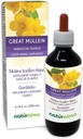 Naturalma Great Mullein sau Mullein comun (Verbascum tapsus) Flori și frunze de alcool-Tinctură fără alcool - 6,76 fl oz Extract lichid în picături - Supliment vegetal - Vegan