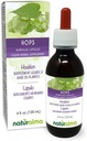 Naturalma Hops (Humulus lupulus) strobilus sau Con (Femei Flori) Tinctură fără alcool - 4 fl oz Extract lichid în picături - Supliment vegetal - Vegan