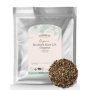 Starwest Botanics Brodock Root Organic - Sursa naturală de antioxidanți, Loose Herb for Tea, Rice, Supă, & Stews, Cut & Sifted, Certified Kosher, Non-GMO - vrac 1 lb sac