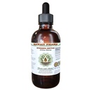 Stingătoare Nettle fără alcool Extract lichid, Organic Stinging Nettle (Urtica Dioica) Glicerite frunze uscate 2 oz