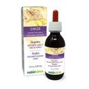 Naturalma Ginger (Zingiber officinalis) Rhizome Tinctură fără alcool - 4 fl oz Extract lichid în picături - Supliment vegetal - Vegan