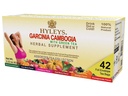 HYLEYS ceai Garcinia Cambogia ceai verde cu arome asortate - 42 Saci de ceai (12 ambalaj - 504 Ceai Bags Total)