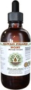 Noni Alcool-Liquid Extract, Organic Noni (Morinda citrifolia) Fructe uscate Glicerite Supliment natural Herbal, Hawaii Pharm, Statele Unite ale Americii 2 fl.oz