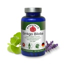 Ginkgo Biloba, Memory, Focus & Brain Function Support, Antioxidant-Rich, Plant-Based, GMP, Herbal Nootropic Vegetarian Capsules, 120 Count (Pachet de 1)
