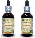 Bupleurum (Bupleurum Chinense) Tincture, Extract lichid organic uscat (Brand Name: HerbalTerra, Proudly Made in USA) 2x2 fl.oz (2x60 ml)