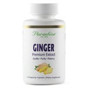 Paradise Herbs Premium Ginger Extract pentru Digestive Health, Super Pottent, Ultra Pure, Vegan, Non-GMO, Gluten Free, 60 Capsule vegetariene