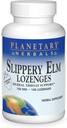 Herburi Planetary Slippery Elm Strawberry Lozenges, Herbal Throat Support, 100 Lozenge