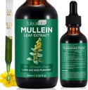 Extract de frunze de Mullein pentru plămâni, picături de Mullein pentru plămâni, Lung de sprijin, funcția respiratorie pentru respirație sănătoasă, îmbunătățirea funcției pulmonare, Supliment natural și sigur (1 PC)