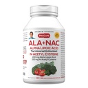 ANDREW LESSMAN ALA + NAC Alpha Acid lipoic cu N-Acetil-Cysteine 360 capsule - Ultra-High Potence, Anti-Oxidant Suport pentru Sistemul Nervos, Inimă, Creier, Ficat, Rinichi, Plămâni, Energie. Fără aditivi