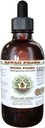 Muira Puama Extract lichid fără alcool, Organic Muira Puama (Pychopetalum Olacoides) Glycerite Supliment natural de plante, Hawaii Pharm, Statele Unite ale Americii 4 oz