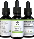 Premium Organic Oregon Root Tinctură - Extract fără alcool, 1 oz 