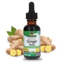 Nature's answer Ginger Root Alcool Free Extract 1 Once 