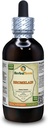 Bromelain (Ananas Comosus) Tinctură, Extract lichid de pulbere uscată (Brand Name: HerbalTerra, Proudly Made in USA) 4 fl.oz (120 ml)