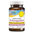 NORD AMERICAN ERB & SPICE Ashwagandha 60 Capace