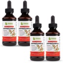 Maxx Herb Ashwagandha Extract 