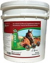 MCV - Vitamine de cai - Supliment de vitamine pentru cai - Suplimente de cai - Haina sanatoasa si lucioasa - Seleniu - Suplimente pentru hrana animalelor - Complex de vitamine minerale (Big)