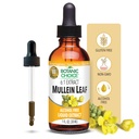 Alegerea botanică Mullein Leaf Extract lichid, alcool liber, gluten gratuit, suport respirator tradițional 1 Fl. Oz.