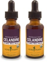 Herb Pharm Certified Organic Celandine Lichid Extract - 1 Ounce (Pachet de 2)