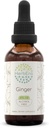 HerbEra Ginger B60 Extract de plante fără alcool Tinctură, ghimbir super-concentrat (Zingiber officinale) 2 fl oz