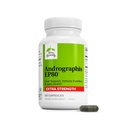Terry Natural Andrographis EP80 Extra Putere - Brain Health & Imune Supplement - Joint Health to Help Mobility - Vegan Adaptogen Supplement for Energy & Liver Support - 60 Capsule