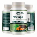 Moringa Tablets cu Turmeric și Black Pepper, 300 pastile, 5 Luna de aprovizionare, 150 Servire, 1000 Mg per Serving. O capsulă cu beneficii multiple - suportă sănătatea digestivă (pachetul 1)