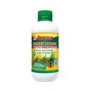 Broncolin Miere Sirop cu Propolis, Sirop cu extracte de plante naturale pentru a Reîmprospăta gâtul, Ingrediente naturale, Elderberry, Eucalipt, Ulei de mentă, 11,4 Oz, Sticla