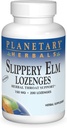 ERBALS PLANETAR Slippery Elm Lozenges, Unflavored, 200 Count