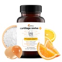 UpWellness Cartilage Revive + Supliment comun de suport pentru bărbați și femei cu colagen tip II pentru articulații - D-glucosamină sulfat, MSM, vitamina D3, vitamina C și mai - 60 capsule