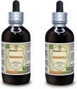 Rhodiola (Rhodiola Rosea) Tincture, Extract lichid de rădăcini uscate organice (Brand Name: HerbalTerra, Proudly Made in USA) 2x4 fl.oz (2x120 ml)