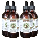 Selfheal Alcool-Liquid Extract, Organic Selfheal (Prunella Vulgaris) Herb Glycerite Supliment natural Herb, Hawaii Pharm, SUA 4x4 fl.oz