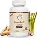 Acid & Indigestie Relief, Antiacide sigure Alternative pentru acid ocazional Reflux și arsuri la stomac, ghimbir, Curcumin, Spearmint & More 