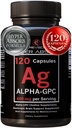 Alpha GPC Supliment & BioPerine pentru Hiper Absorbție - 120 Conte, Alpha-GPC 600mg per Serving - Nootrops for Memory, Focus, Energy, & Drive - Suplimente coline la Boost Acetilcolina, Made in USA