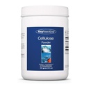 Alergie Grupul de cercetare Pudră de celuloză - Pulbere microcristalină de celuloză, 2000 mg Supliment de fibre insolubile, celuloză pudră, nefermentabilă, hipoalergică - 8,8 Oz