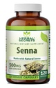 Secrete de plante Senna Suplimentul 