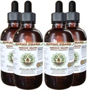 Hawaii Pharm Oregon de struguri Extract lichid-liber de alcool, Oregon de struguri (Mahonia aquifolium) Root Glicerite naturale Supliment, SUA 4x4 fl.oz