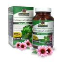 Răspunsul naturii Echinacea & Goldenseal 