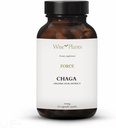 Chaga Mushroom Supplement. Extract dual, Corp de fructe pure, 30% Polizaharide, 500 mg, 120 legume (120 de zile de aprovizionare). Poate sprijini digestiv sanatos, functie imunitara si sa promoveze sanatatea inimii.