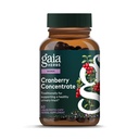 Gaia Herbs Cranberry Concentrat - Ajuta la mentinerea sanatatii tractului urinar - Made with Organic Cranberry Fruit Suc Extract in capsule convenabile - 60 Vegan lichid Fito-Capsules (30-zi de aprovizionare)