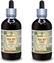 Xia Ku Cao, Prunella (Prunella Vulgaris) Tinctură, Extract lichid de Spike organic uscat (Brand Name: HerbalTerra, Proudly Made in USA) 2x4 fl.oz (2x120 ml)